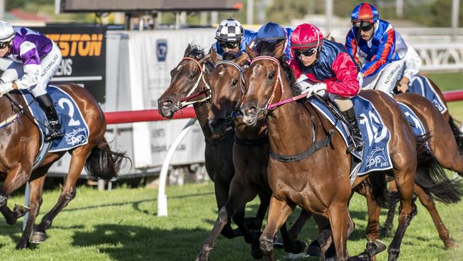 Quart Pot ridden by Skye Bogenhuber wins race 1 at Clifford Park. Saturday. 21st Nov 2020