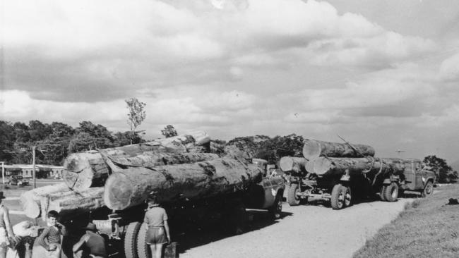 Timber trucks about to descend Eungella Range