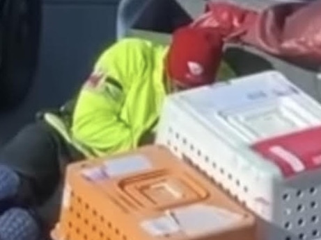 Adelaide baggage handler’s act of kindness melts hearts