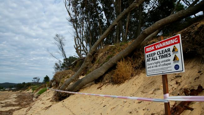 Sand dune erosion at Ocean Beach. Central Coast Council has erected signs and tape. (AAP Image/Sue Graham)