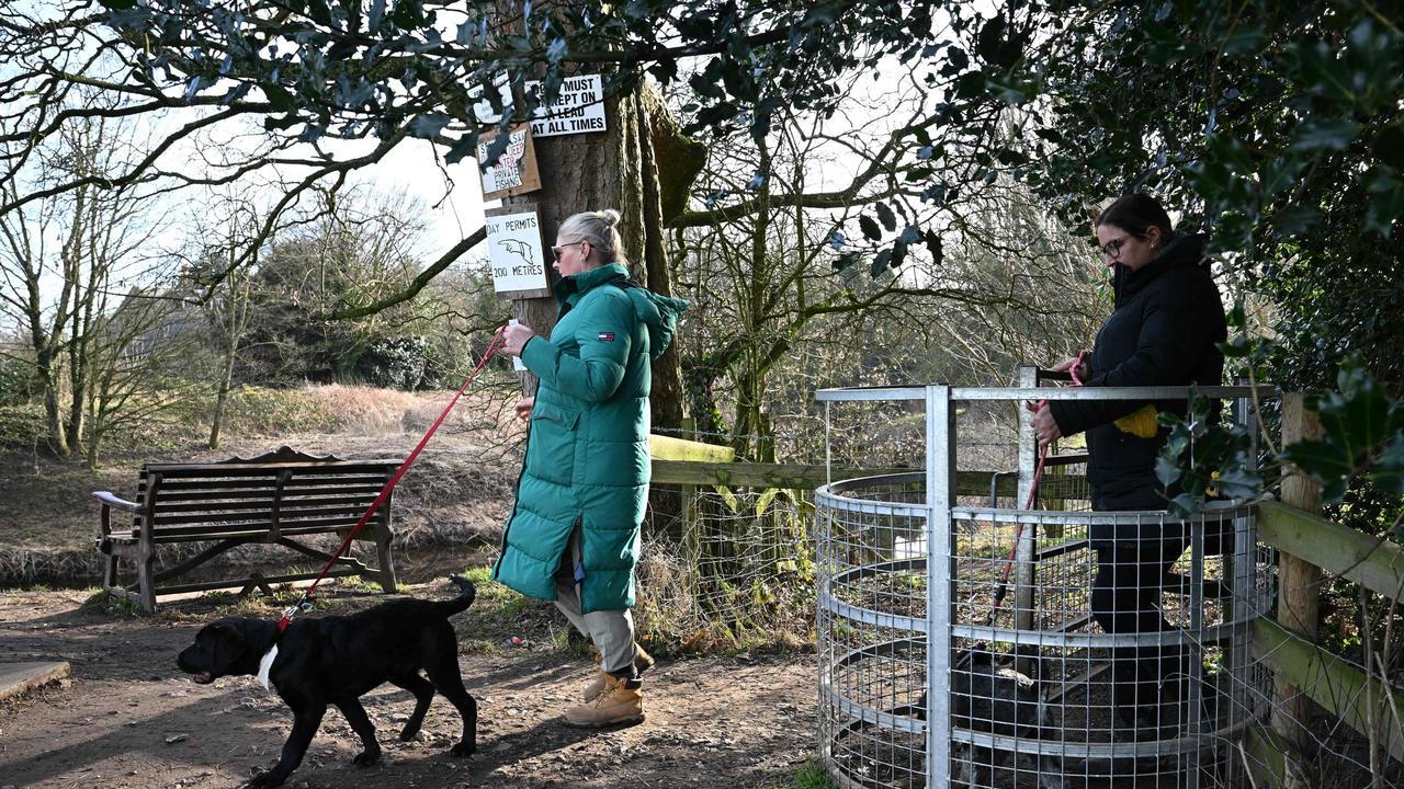 A dog walker passes a bench where the phone and dog's harness were found. Picture: Paul Ellis / AFP