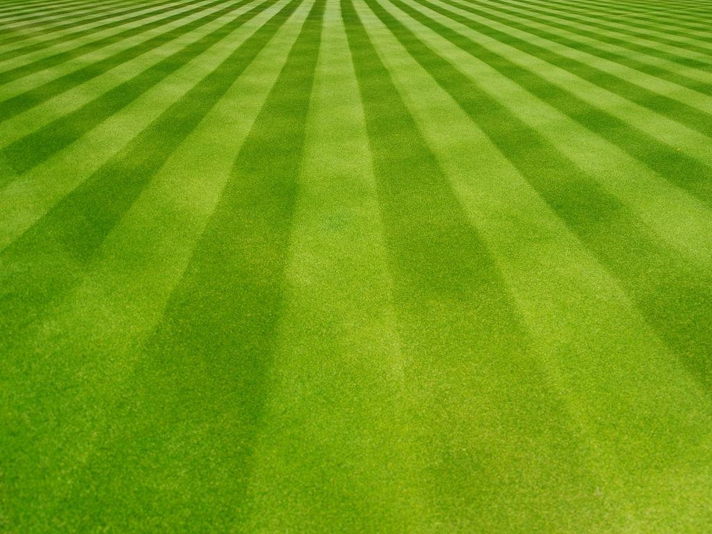 The perfect SCG-style lawn is every gardener’s dream.