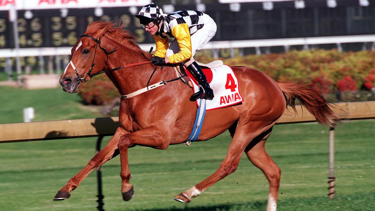 Racehorse Saintly winning Race 6, Hill Stakes at Rosehill, jockey Darren Beadman. 21/09/96.
  Turf A/CT