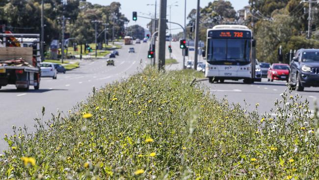 Dorset Rd in Ferntree Gully. Picture by Wayne Taylor