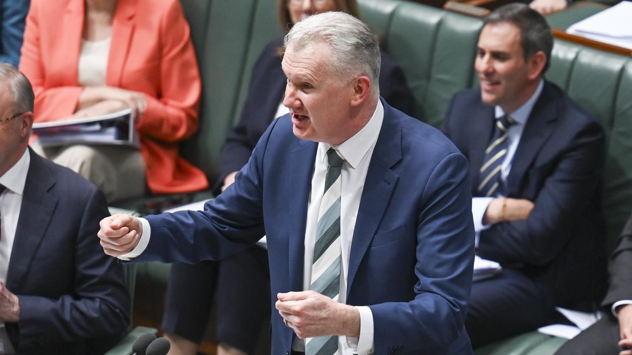 Home Affairs Minister Tony Burke says it is ‘irresponsible’ of the Coalition to demand security details in Question Time. Picture: NewsWire / Martin Ollman