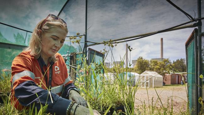 Charmaine Freeman, a maintenance co-ordinator at Eraring Power Station, says we need to prepare for “greener power”. Picture: Nick Cubbin/TWAM