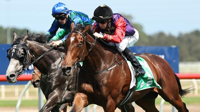 Gilded Water gave King Charles III his first Australian winner at Kembla Grange. Picture: Jeremy Ng / Getty Images