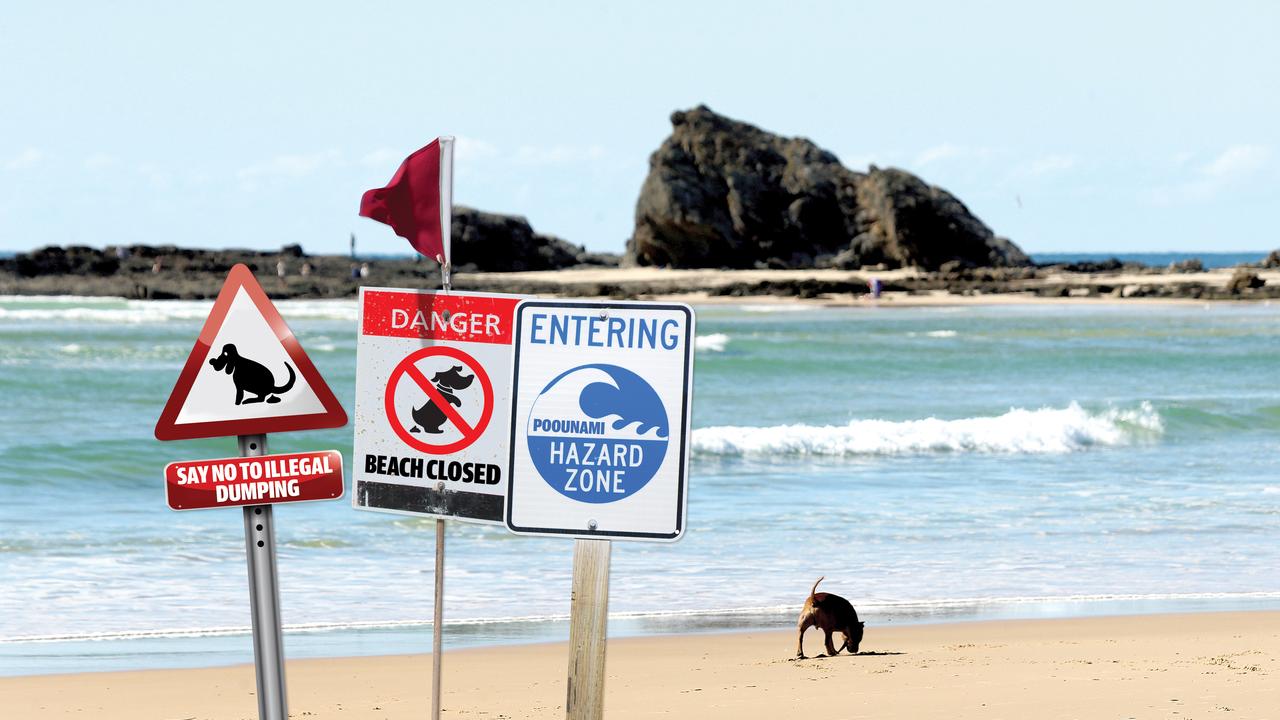 Dog poo stink: Residents clash over pooches on beaches