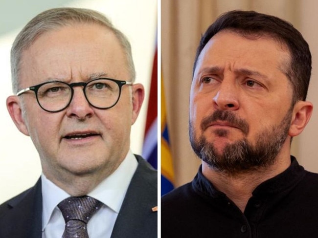 Albanese and zelensky split thumb