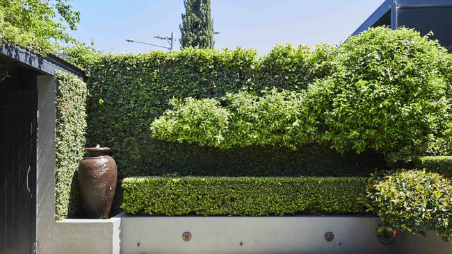 Home of Robbie Nicol in Woollahra with its garden by Annie Wilkes. Picture: Jennifer Soo