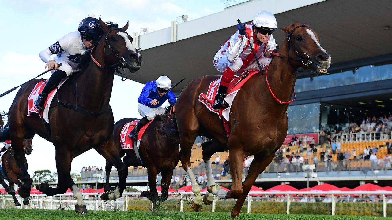 Giga Kick will head to Brisbane for his second-up run in the Group 1 Kingsford Smith Stakes. Picture: Grant Peters/Trackside Photography