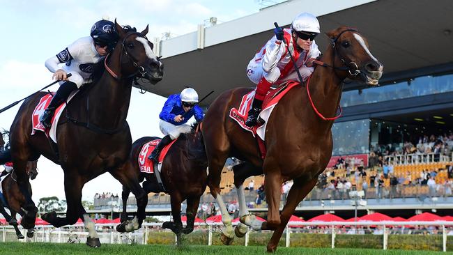 Giga Kick will head to Brisbane for his second-up run in the Group 1 Kingsford Smith Stakes. Picture: Grant Peters/Trackside Photography