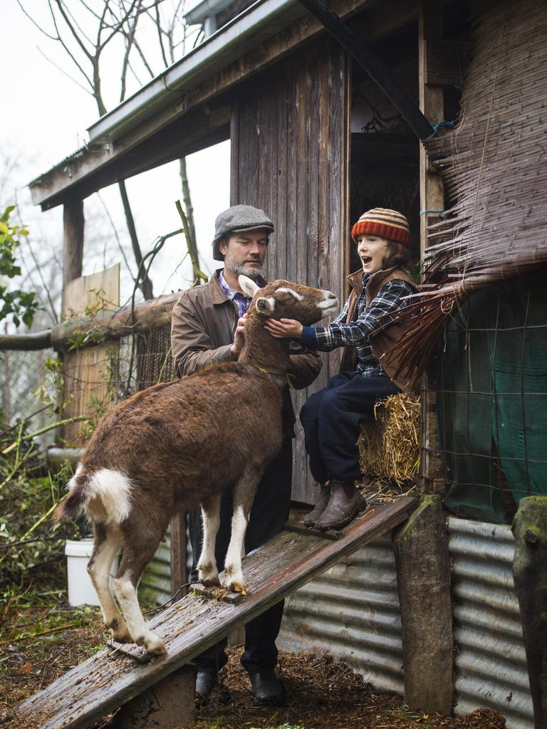 They also run milking goats, chickens and geese, pickling and expounding the virtues of permaculture. Picture: Zoe Phillips