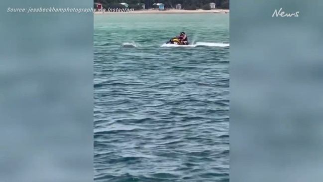 Marine photographer blasts jet skiers ‘chasing’ dolphin pod