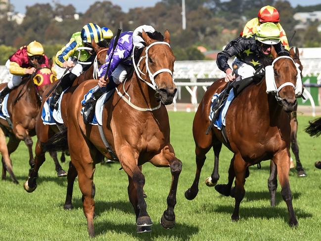 Fiesta ridden by Hugh Bowman wins the Furphy Sprint at Flemington Racecourse on October 31, 2020 in Flemington, Australia. (Brett Holburt/Racing Photos via Getty Images)