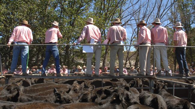 Australian Livestock &amp; Property Agents Association says “we are totally in the dark” on the formulas to be used to collect the new federal biosecurity protection levy. buyers.