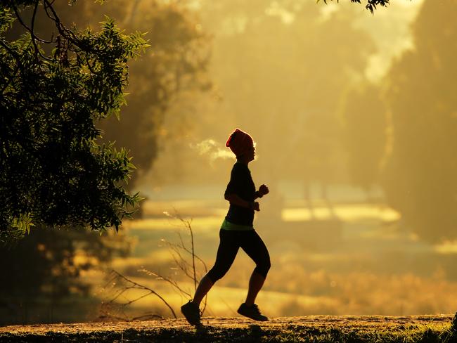 This morning in Centennial Park. Picture John Grainger