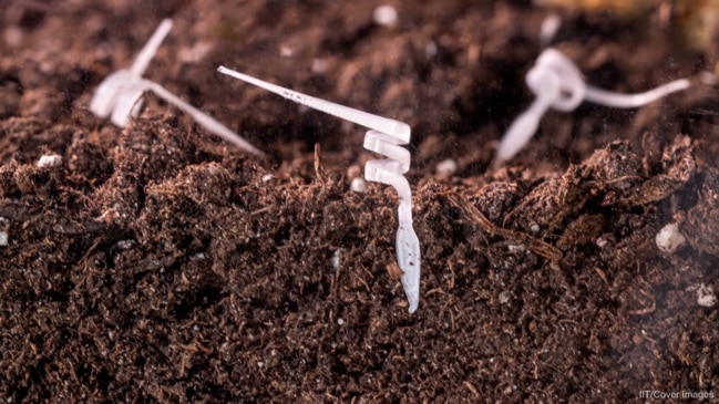 İtalyan bilim adamları “robot tohumları” yaratıyor