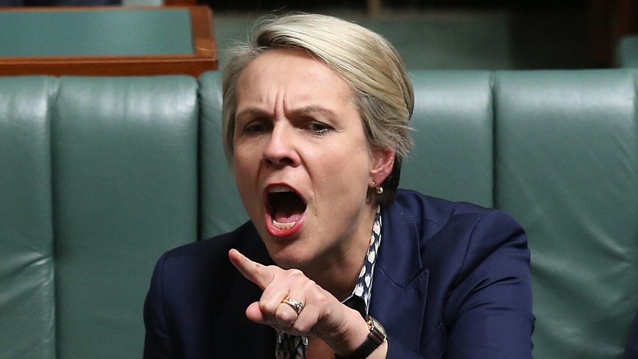 'We profoundly need to change our culture': Plibersek