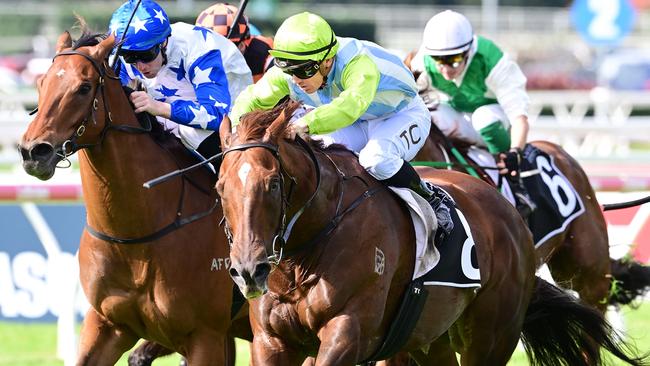 Front Page won the Group 2 Moreton Cup to secure a spot in the Stradbroke Handicap if connections decide to take it. Picture: Trackside Photography