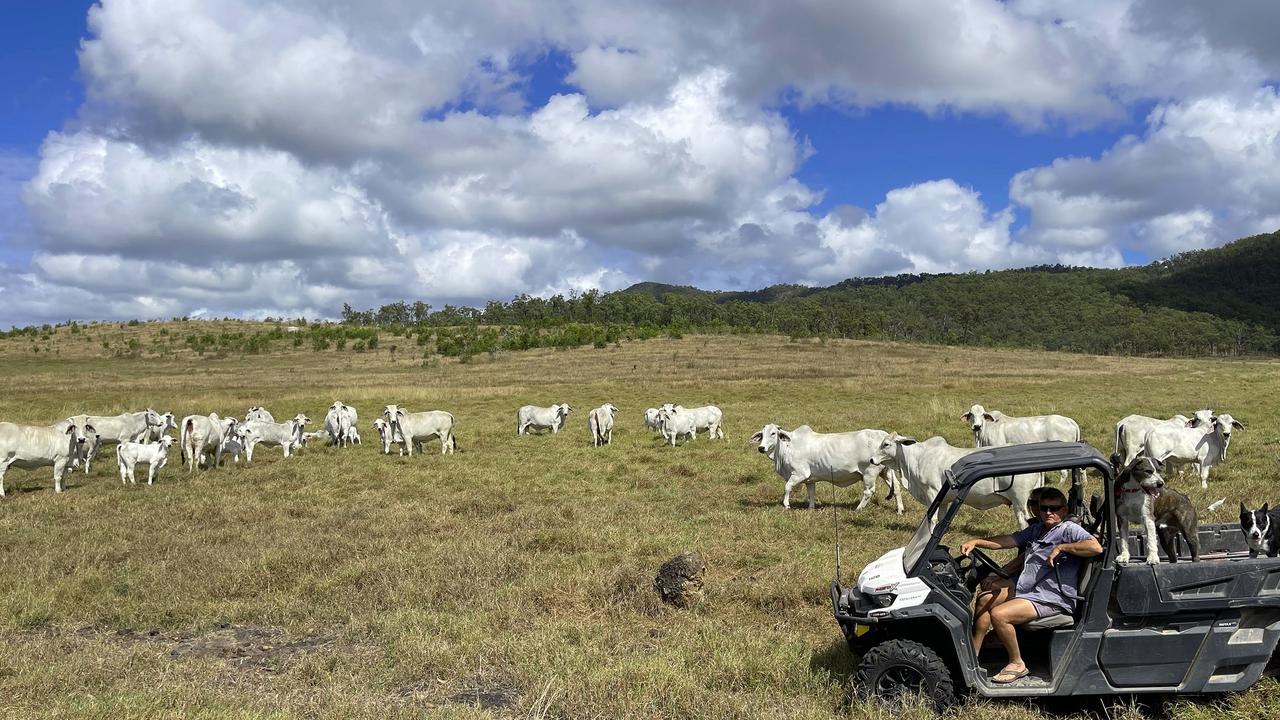 A St Lawrence cattle property has sold for $5.7m at auction.