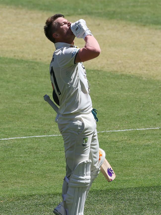 David Warner gives critics the finger. Photo by COLIN MURTY / AFP.