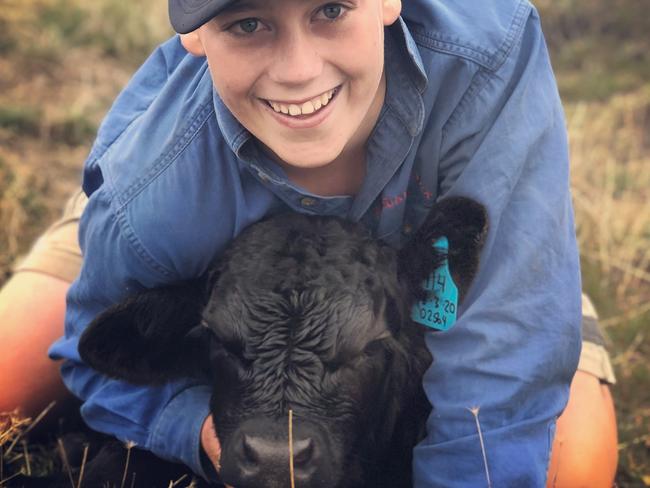 Thomas Riches catching bull calves to be weighed at his family's farm Romsdale Park at Irrewillipe, Victoria. Picture: Paula Riches