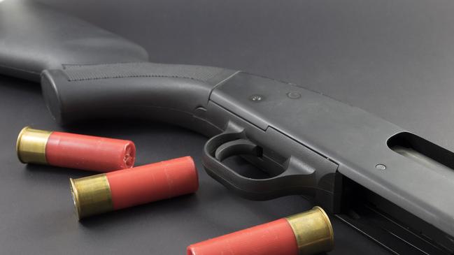 Quarta fired two shells from a shotgun at the Holden Commodore. (File image)