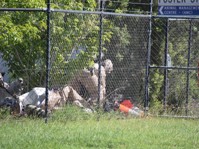 Powder chemical incident Capricorn St Gracemere 22/4/25