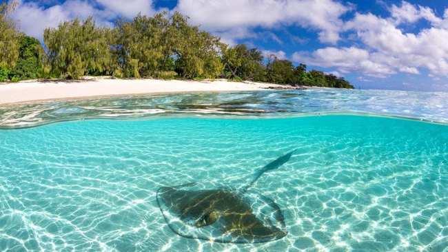 Australia’s best dive sites: WA, Qld, NSW, SA | escape.com.au