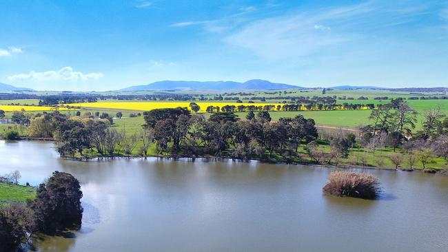 A weakened Australian dollar is helping agricultural land.