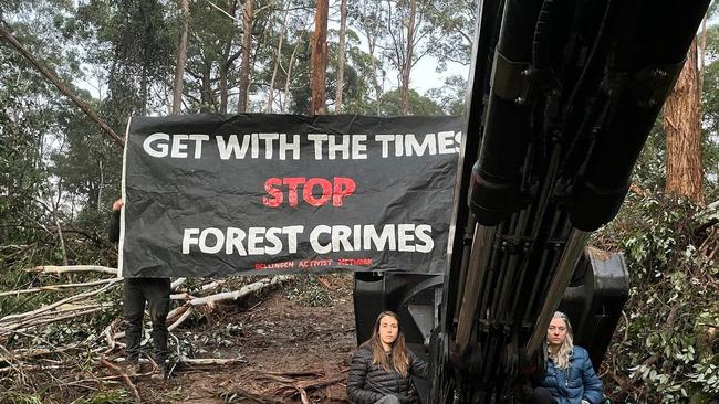 Protesters 'lock on' to a harvester at the Orara East State Forest near Coffs Harbour, demanding NSW Forestry Corporation cease logging native forests.