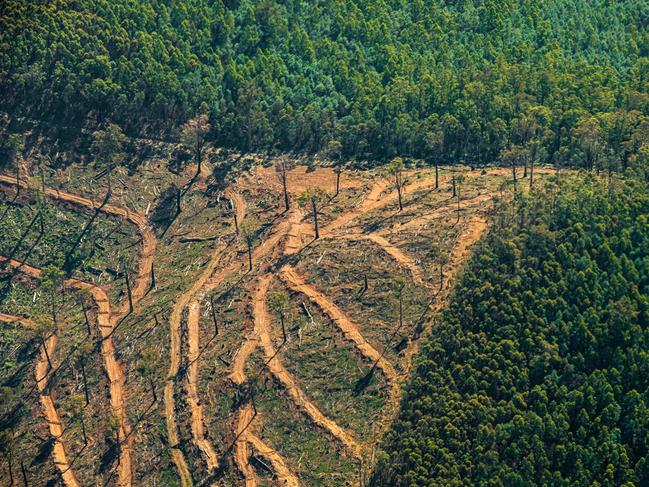 Premier Daniel Andrews flies in a helicopter over logging coups in Gipslands state parks. In the images you can see areas either newly logged and in various states of regrowth, surrounded by non logged areas. These images were taken in 2020 while the premier was on his was to visit a bushfire recovery area. Picture: Jason Edwards