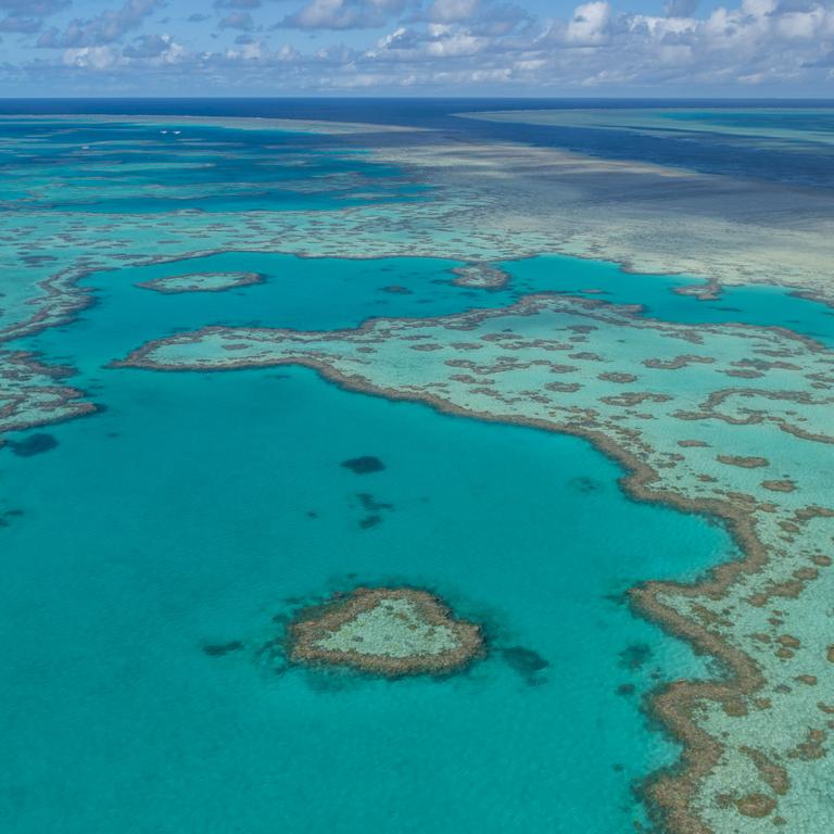 The new funding will include a grant to establish a new research facility at the Central Queensland University in Gladstone. Picture: Great Barrier Reef Marine Park Authority.