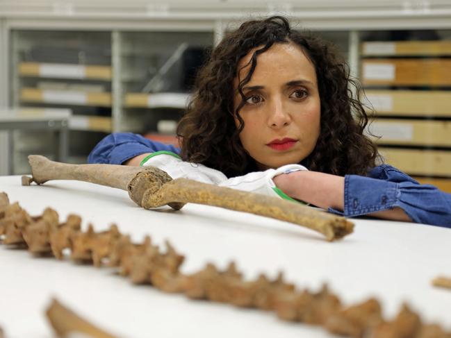 Ella Al-Shamahi, star of National Geographic's Viking Warrior Women, at the Swedish History Museum, Stockholm, examining Viking bones. Picture: National Geographic/Eloisa Noble