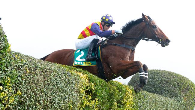 The 2025 jumps racing season will start at Warrnambool on March 28. Picture: Racing Photos via Getty Images