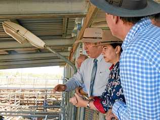 MUSTERING FUNDS: Premier Annastasia Palaszczuk at Roma Saleyards, which is receiving $1.8 million in the State Budget for the new multi-purpose facility. Picture: Alexia Austin