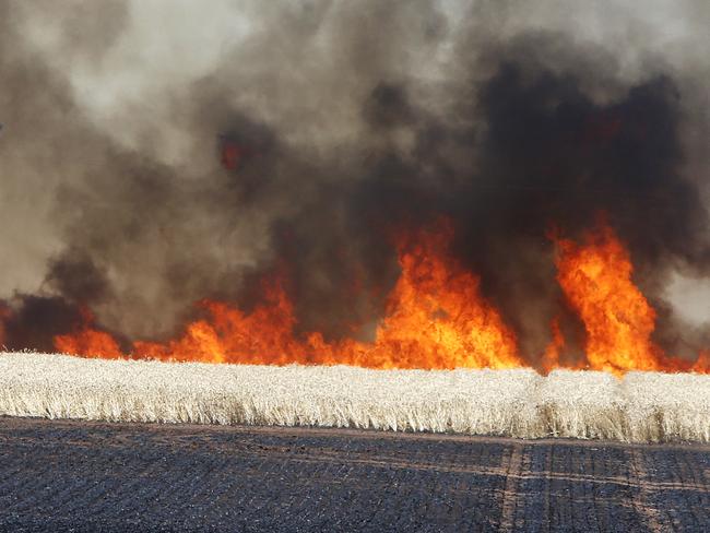 25/11/15 - Day 2 - The Pinery Bushfire in the mid north - Picture Simon Cross