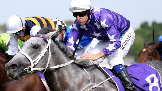 D’Argento is second-favourite for the Epsom Handicap. Picture: AAP