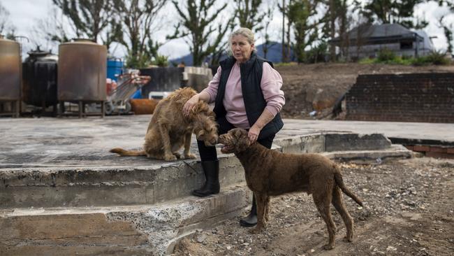 Robyn Freedman, with her dog Digby and neighbour’s dog Billie, on her property in Wandella that was destroyed by bushfire in December 2019. Picture: Sean Davey