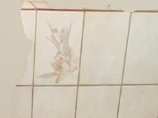 A supplied image of bathroom tiles.