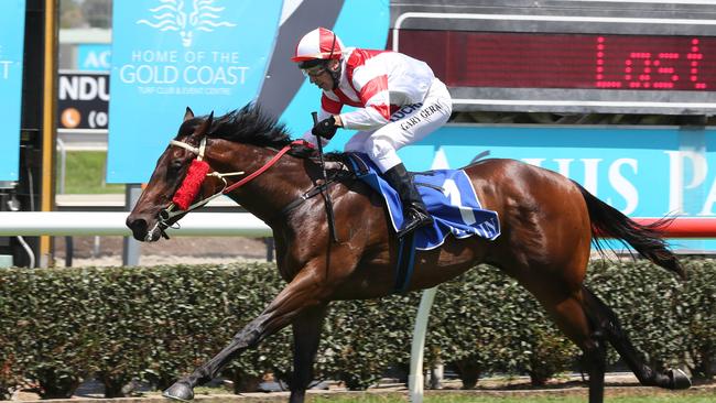 Bold Aurora won Saturday’s QTIS Two-Years-Old Colts &amp; Geldings Maiden Plate (900m) at the Gold Coast. Picture: Mike Batterham.