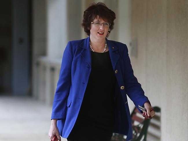 Fiona Simpson used her very first speech in Queensland Parliament to proudly declare herself a sexual maiden. Picture: Annette Dew