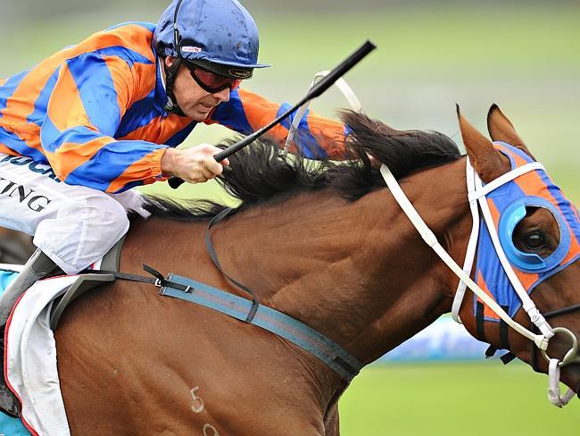 Veteran jockey Steven King gets home aboard Coreggio. Picture: Getty Images