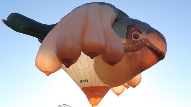 Skywhale took to the skies above Canberra. (Pic: Tait Schmaal)