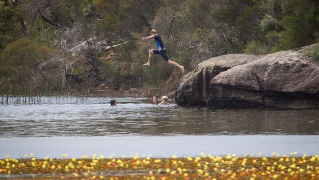 Manly Warringah War Memorial Park, around Manly Dam, has been a favourite with locals and visitors for decades. Now its been listed on the State Heritage Register. Picture: Julian Andrews