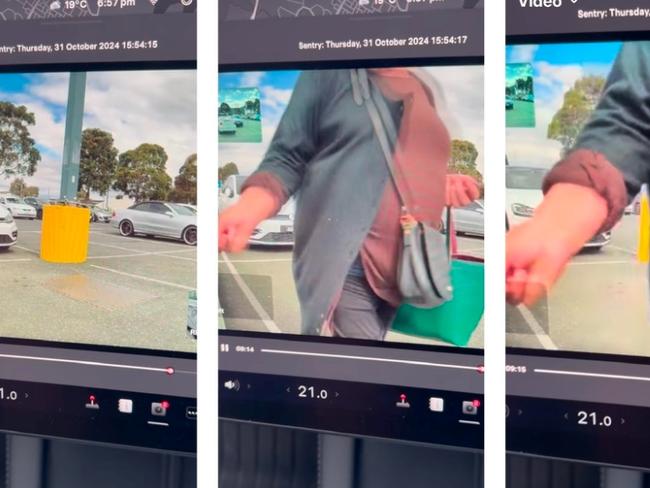 ‘Boomers’: Tesla keying caught on camera