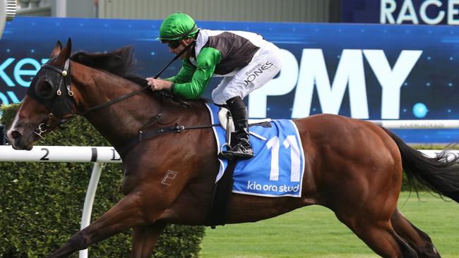 Banju has hit peak form and is a leading chance again. Picture: Grant Guy