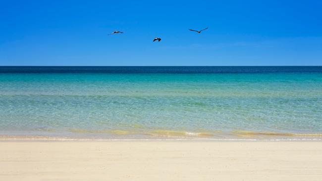 Emu Bay Beach, Kangaroo Island. Picture: Graham Hart