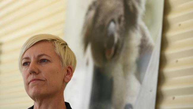 Greens MP Cate Faehrmann - Chair of the NSW Parliamentary Inquiry into Saving the Koala, visits Friends of the Koala in Lismore and chats with president Ros Irwin.